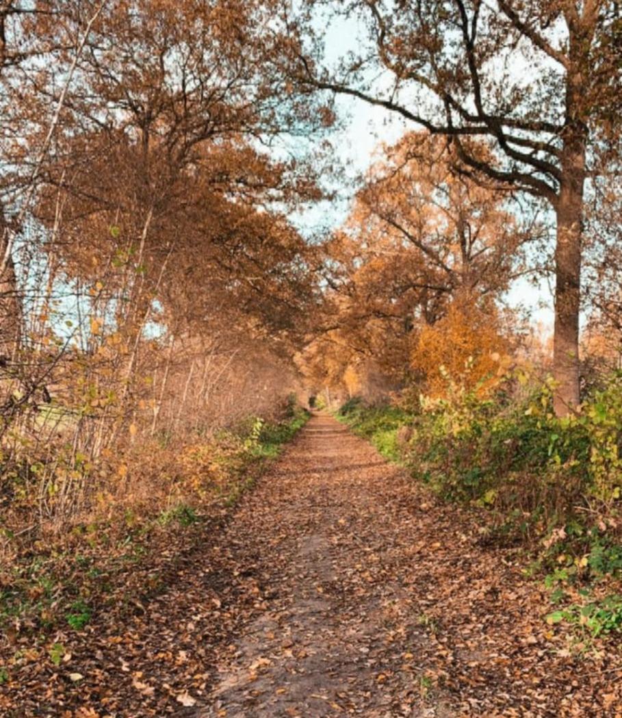 B&B Erve Moeskert Geesteren  Bagian luar foto